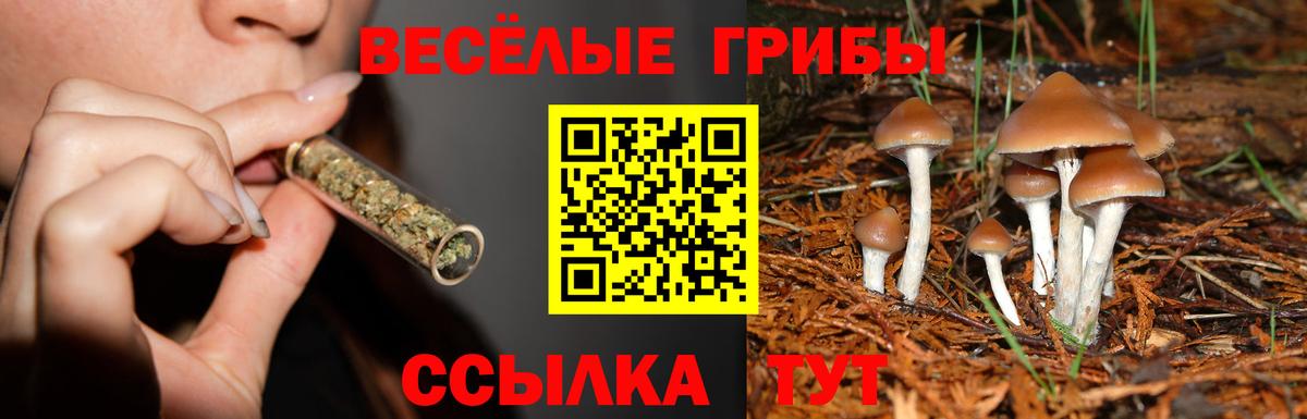 Галлюциногенные грибы GOLDEN TEACHER  Вход с VPN  Новоуральск 