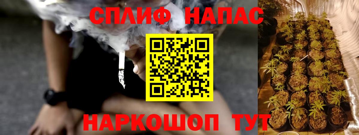 МАРИХУАНА планчик  Конопля сатива  Шишки марихуана VHQ  Новоуральск  Марихуана OG Kush  Вход с VPN 